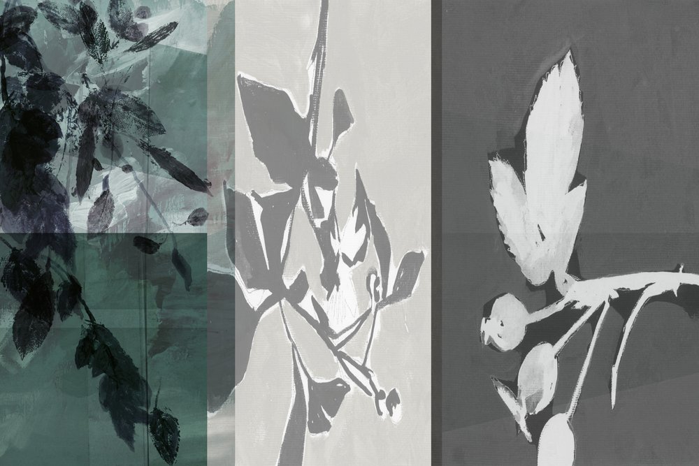 Serene Botanical Forms by cartissi