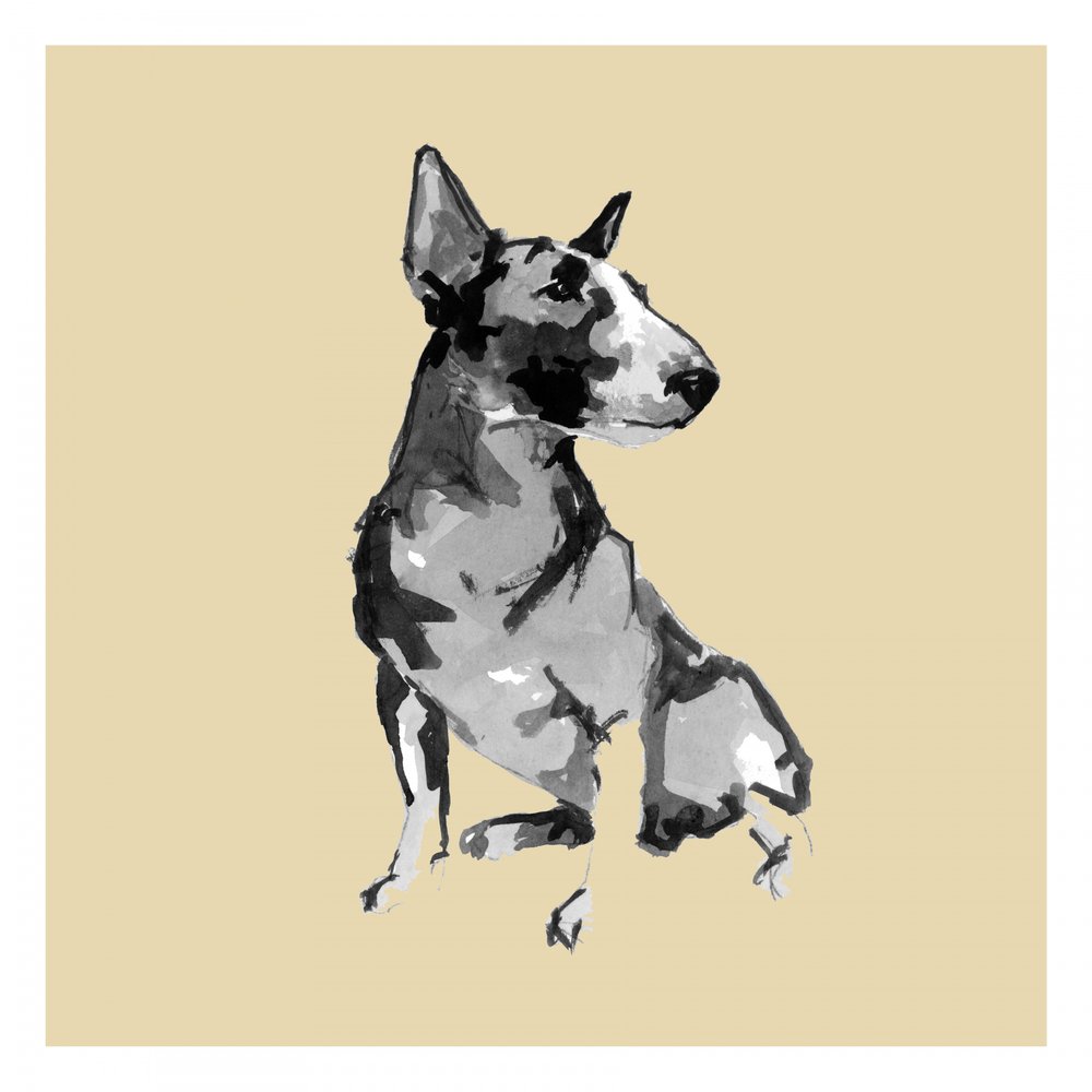 Sitting Bull Terrier by cartissi