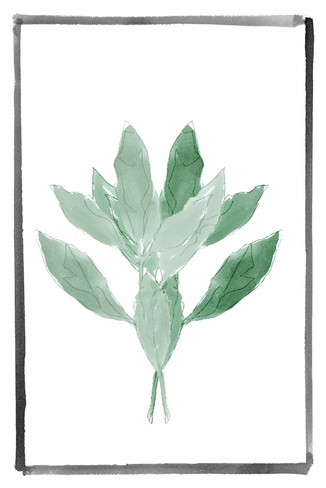 Soft Green Botanical by cartissi