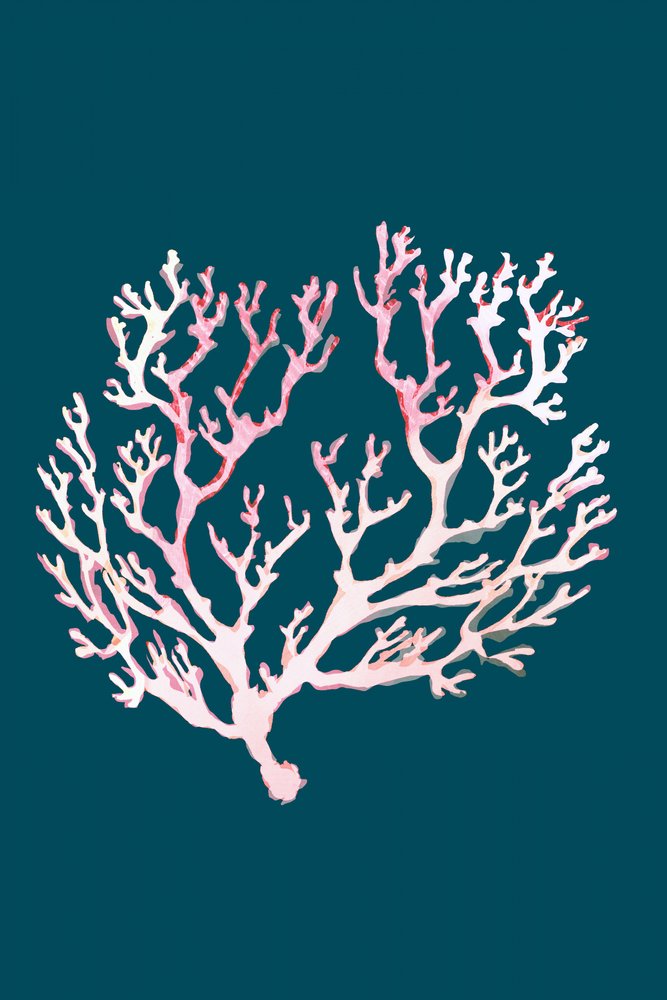 Soft Pink Coral by cartissi