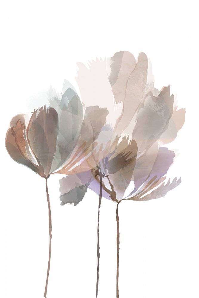 Soft Watercolor Blooms by cartissi