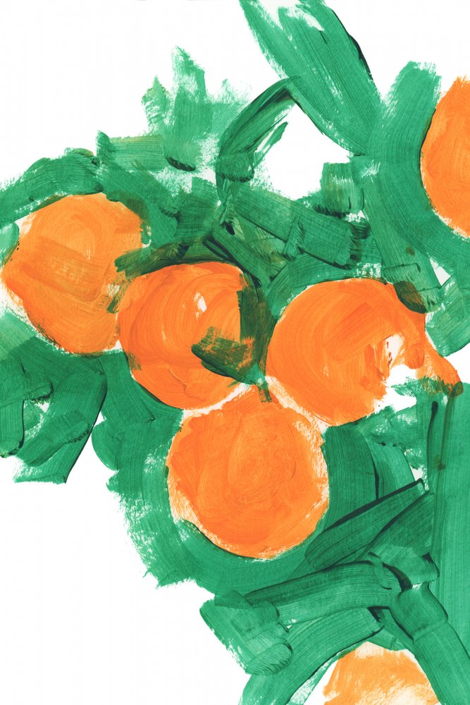 Vibrant Citrus Harvest by cartissi