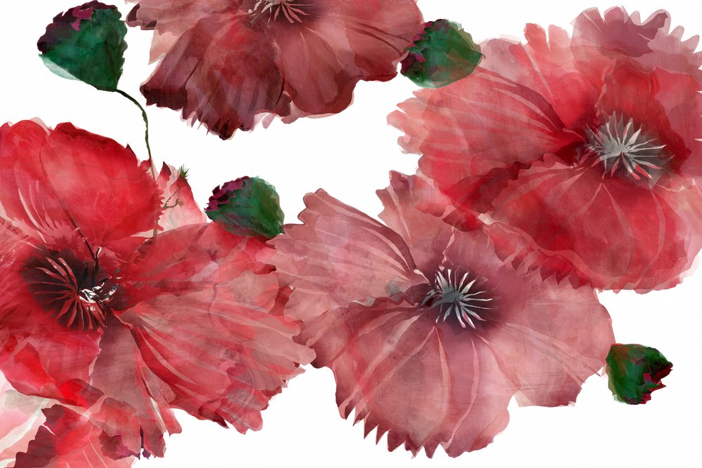 Vibrant Red Poppies by cartissi