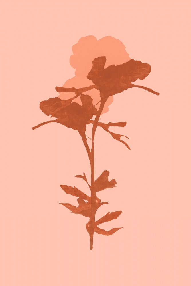 Warm Botanical Bloom by cartissi