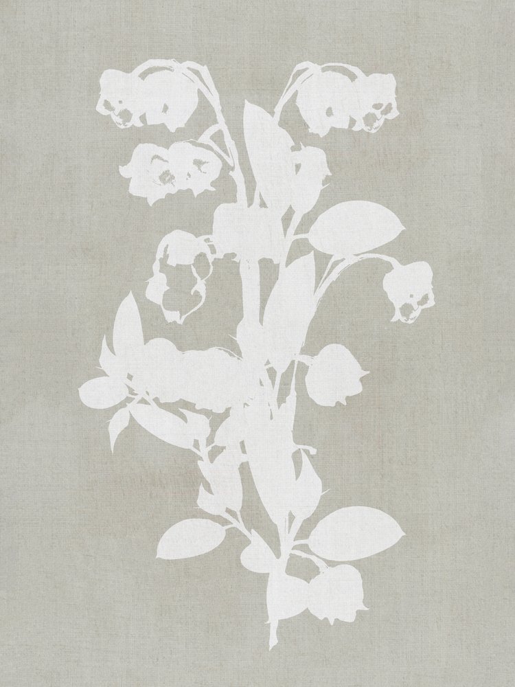 White Botanical Blooms by cartissi