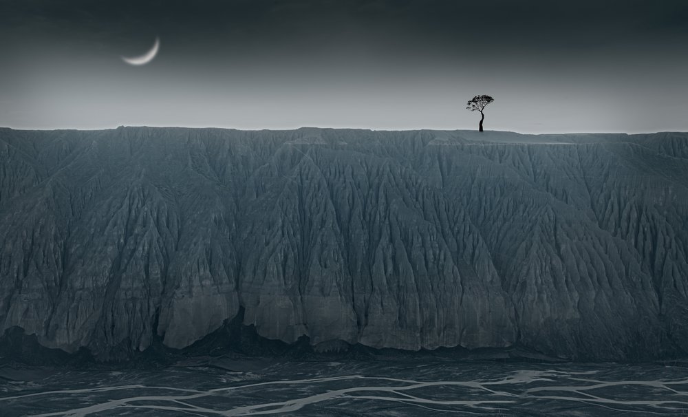 Solitary Tree Crescent Moon by chenyi wang