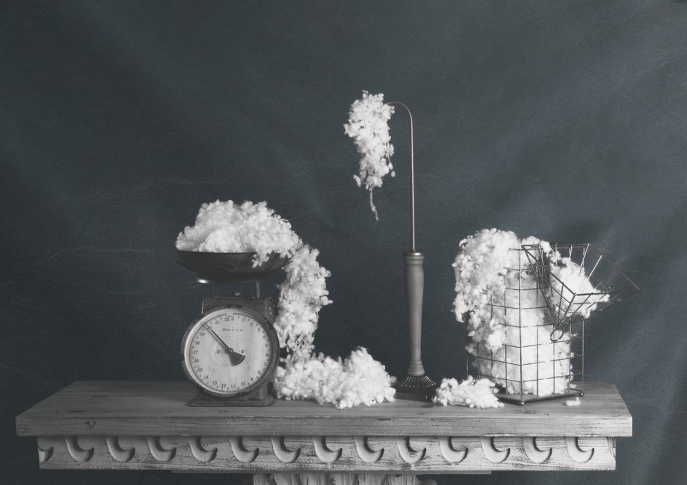 Vintage Cotton Still Life by chenyi wang