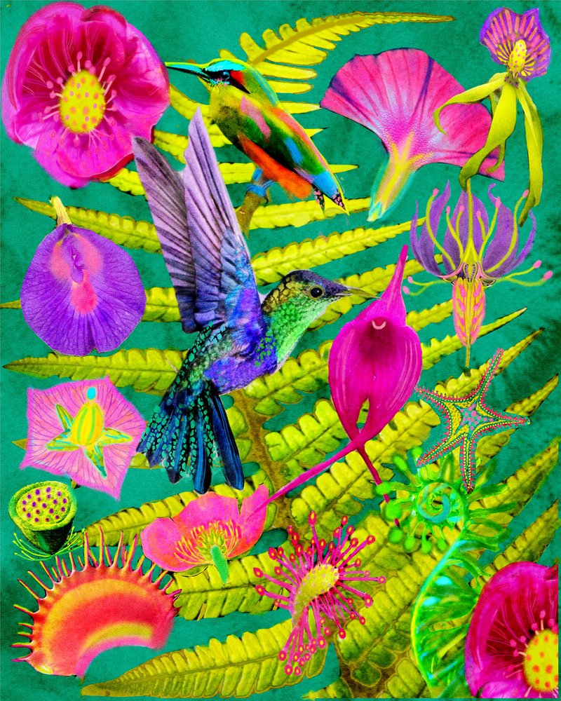 Vibrant Tropical Garden by giovanna nicolo