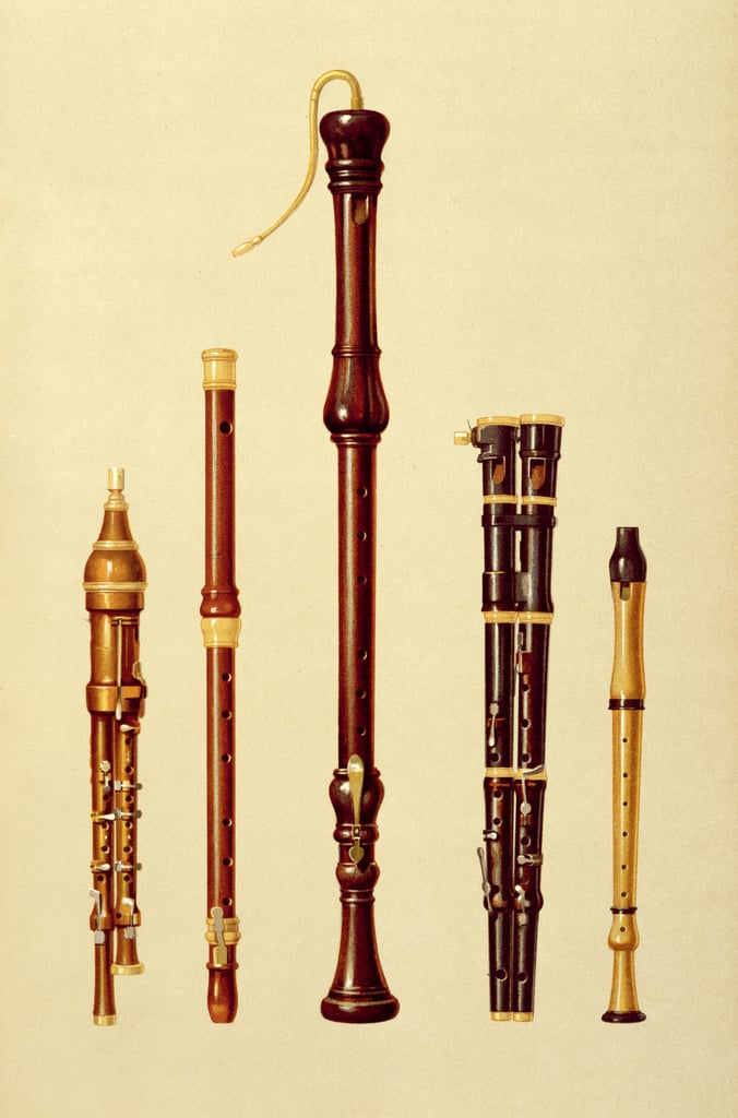 Bass shop recorder flute