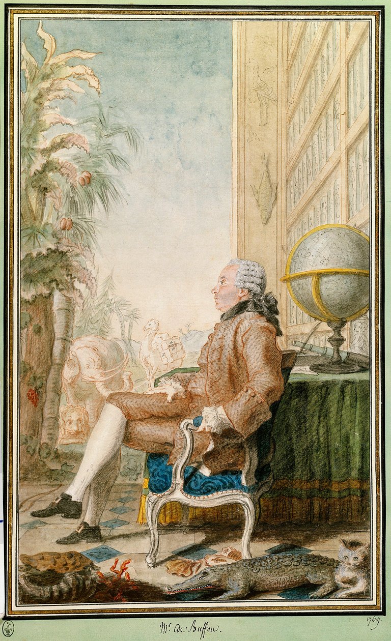 Portrait of Georges-Louis Leclerc, Count of Buffon by Carmontelle
