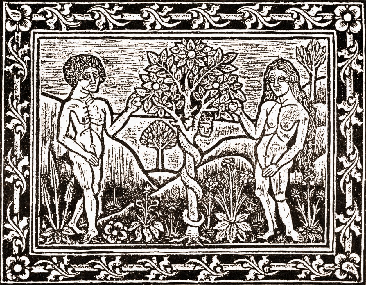 The Tree from which Adam ate the Apple, facsimile from a book of meditation, the first book printed at Albi, Languedoc, in 1481 by (after) French School