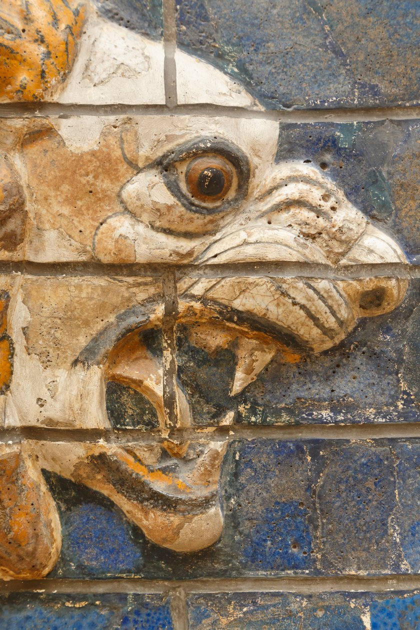 Istanbul, Turkey. Archaeological Museum. Glazed Brick Lion in Relief from the Procession Street, Babylon, Dating from the Nebuchadnezzar II Period circa 604-562 BC. by Unknown