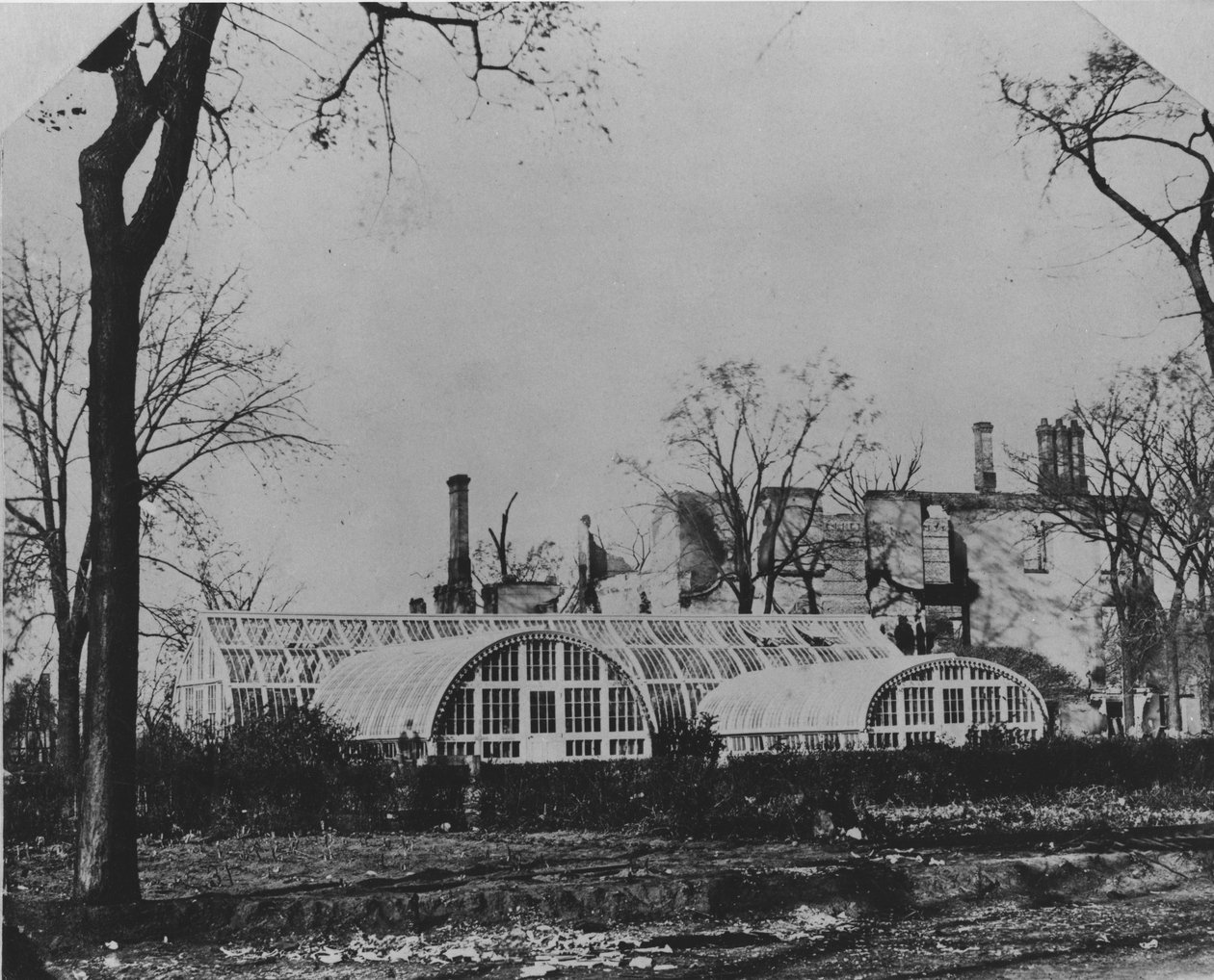 Ezra B. McCagg