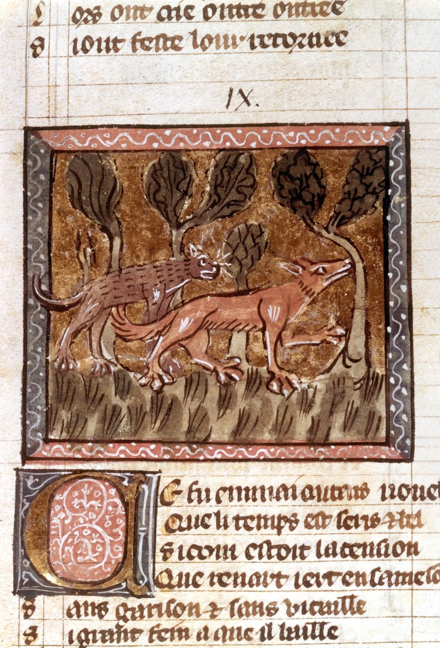 The fox and the wolf, illumination from the manuscript entitled Roman ...