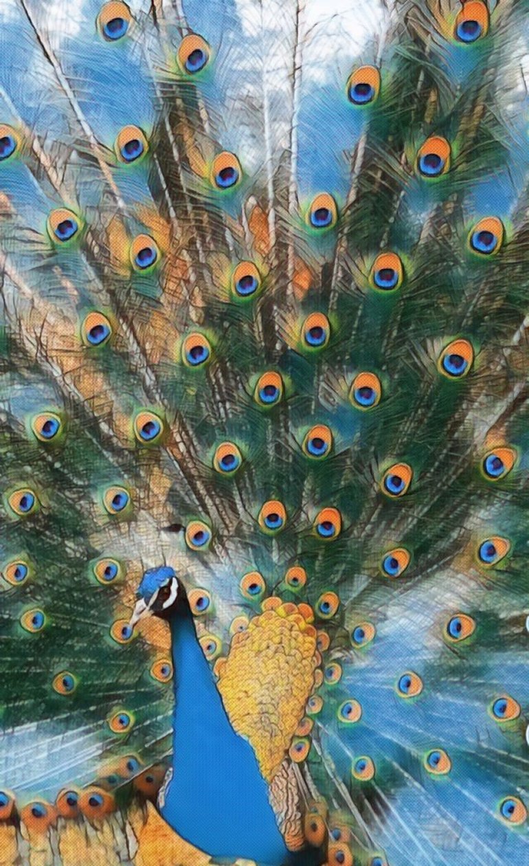 Peacock by Margareta Uliarte