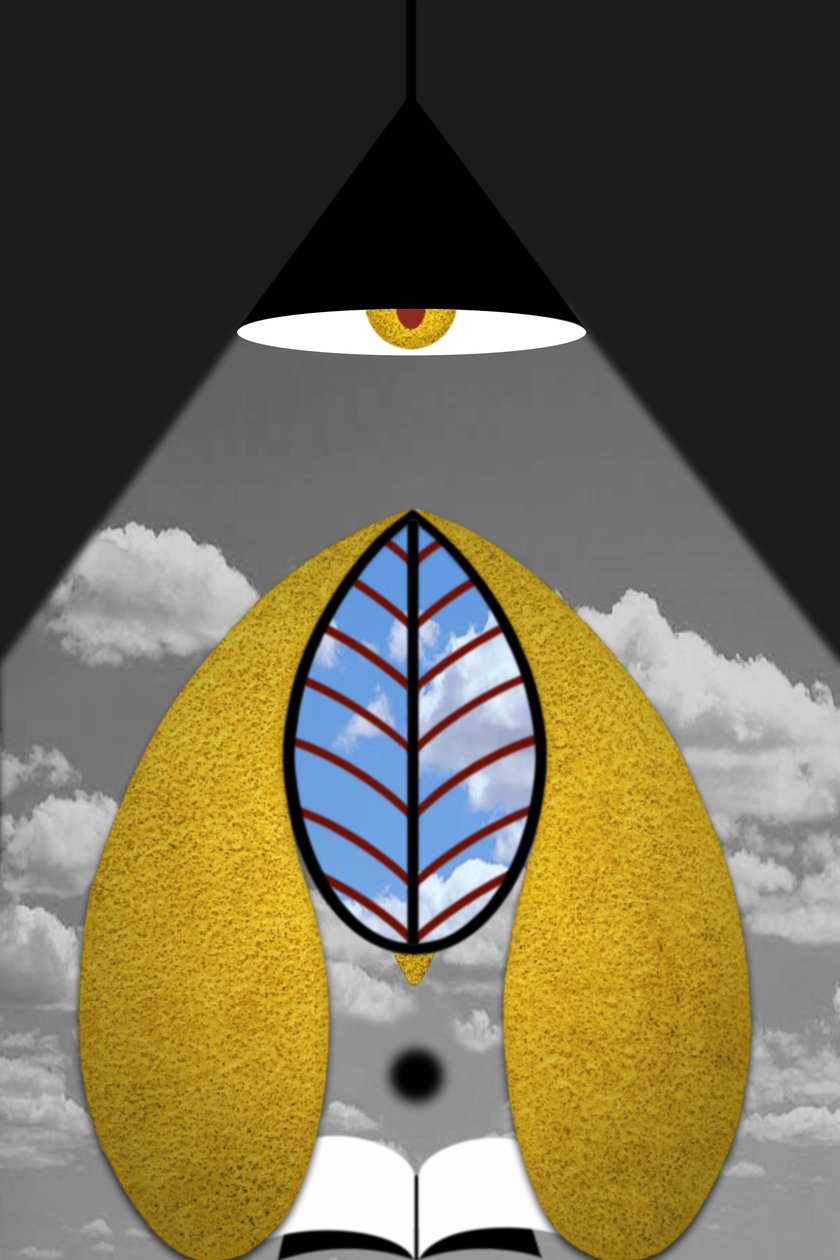 Enlightenment III (Daily News) by Alexander Eibach