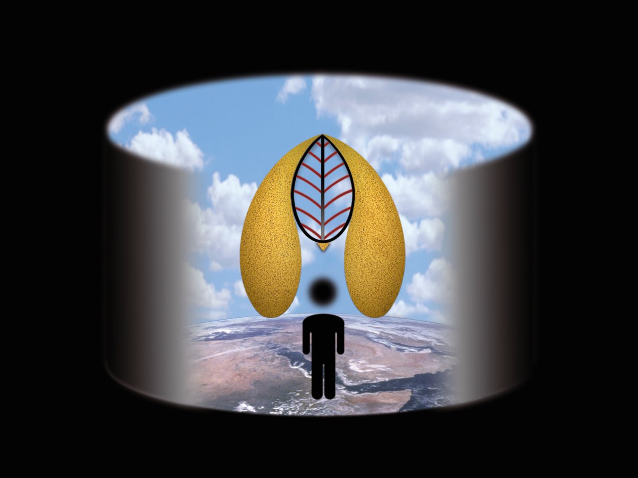 Lichtung (II) (heiliges Nichts) by Alexander Eibach