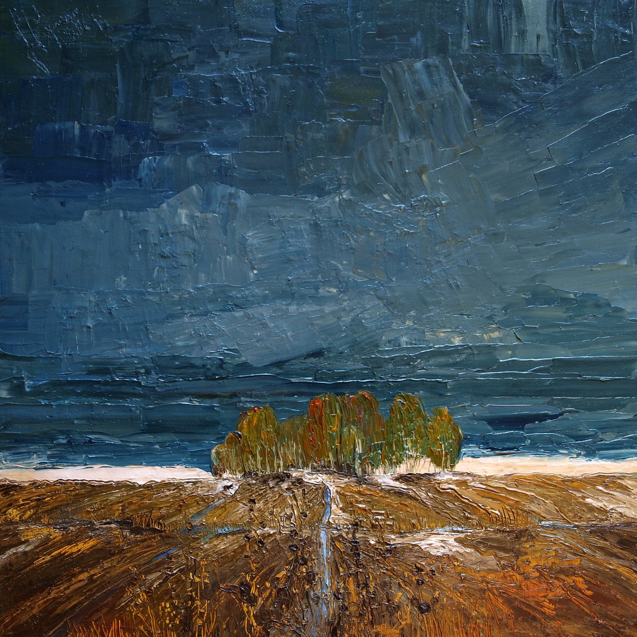 November by justyna kopania