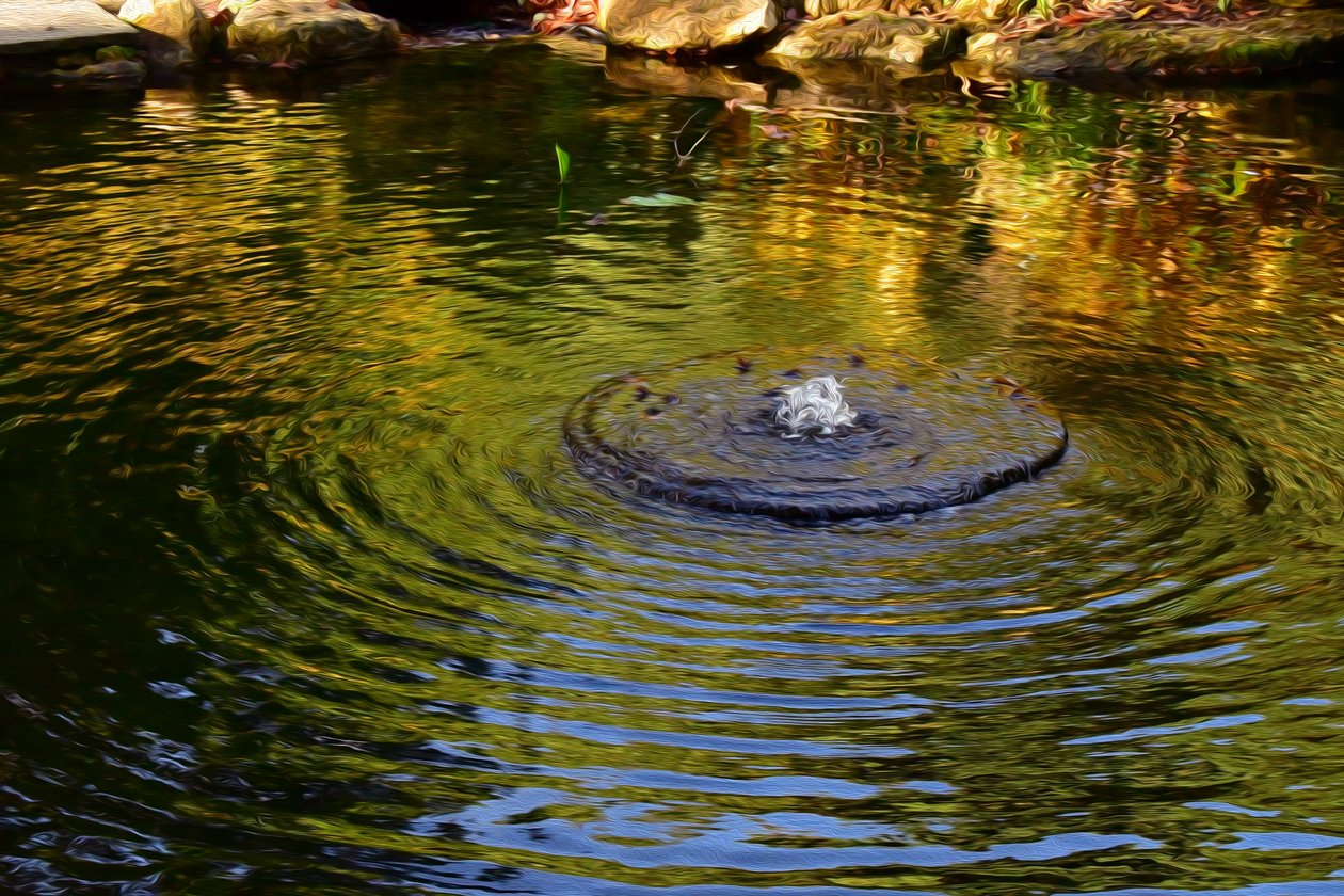 Water Reflection by Albert Mansour