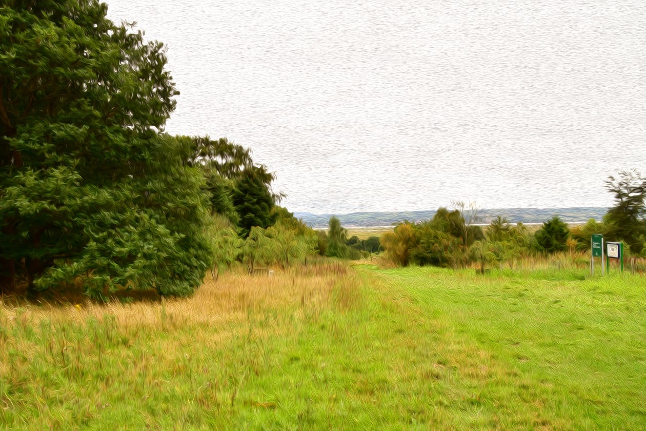 Nature Landscape by Albert Mansour