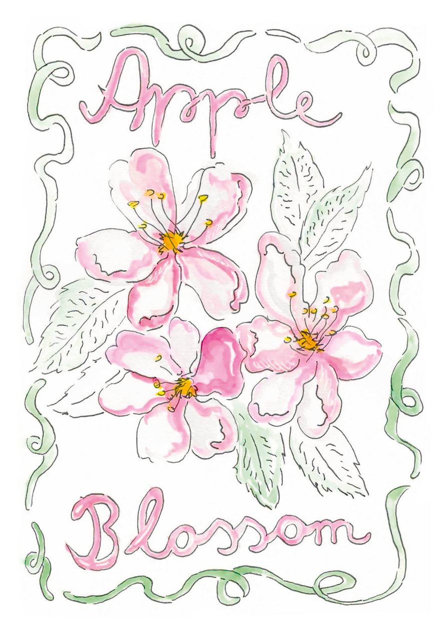 Apple Blossom by june art