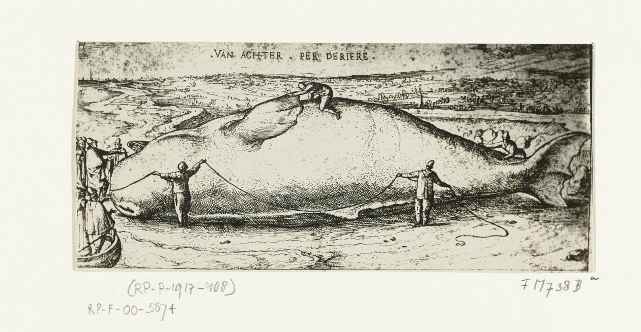 Print of the Stranded Whale near Antwerp, July 2, 1577 by A.B. van Deinse