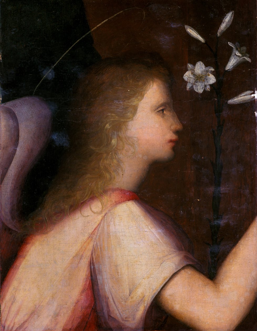 Archangel Gabriel by A. 1485 c.1525 Piccinelli