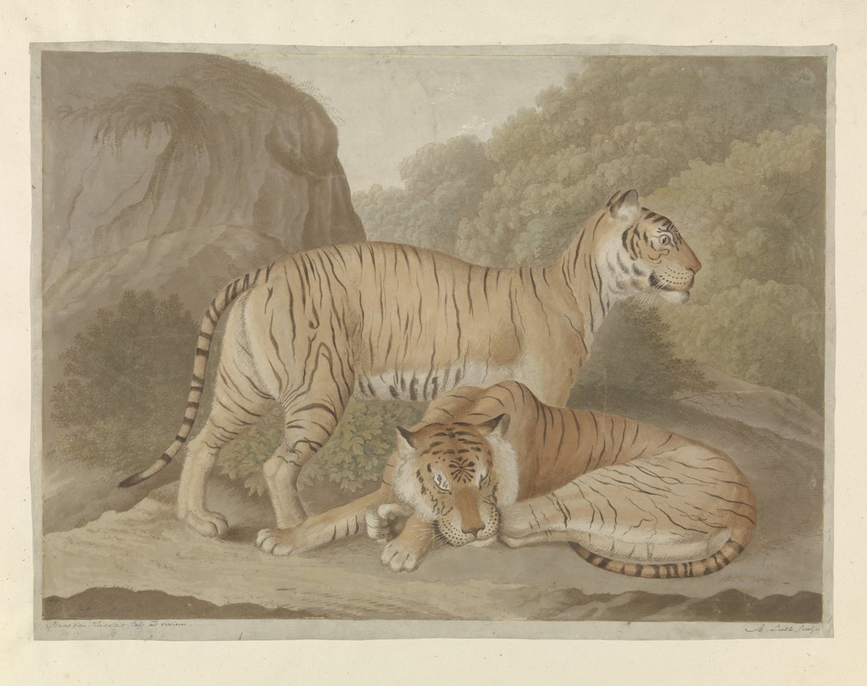 Two Tigers in a Landscape by A. Lutz