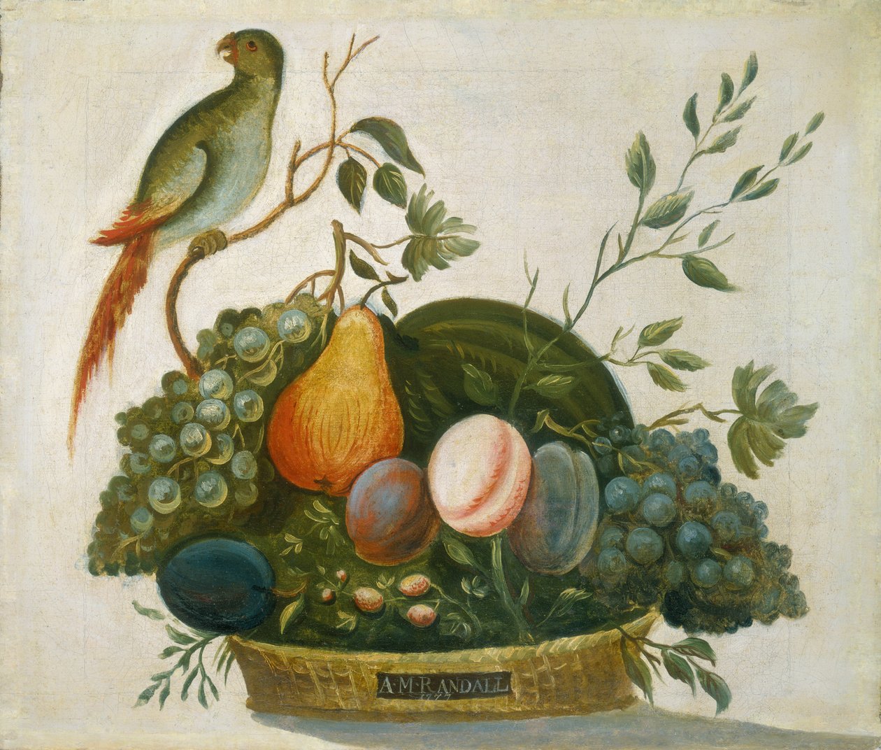 Basket of Fruit with Parrot by A. M. Randall