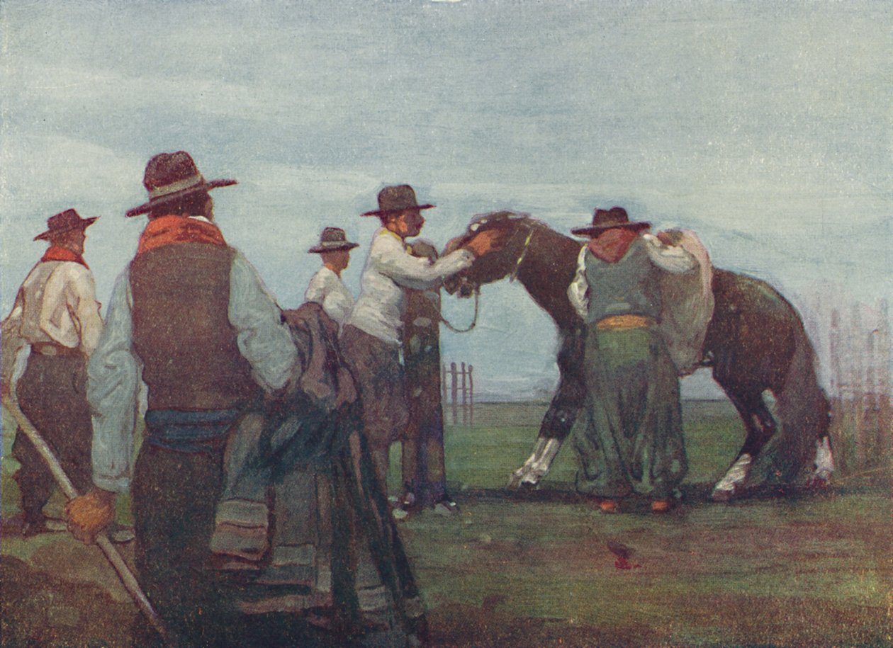 Gauchos Breaking in a Young Horse by A. S. Forrest