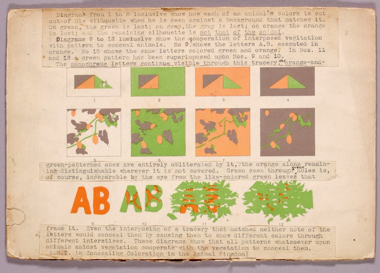 Diagram and Copperhead Snake, Study Folder for Book Concealing Coloration in the Animal Kingdom by Abbott Handerson Thayer