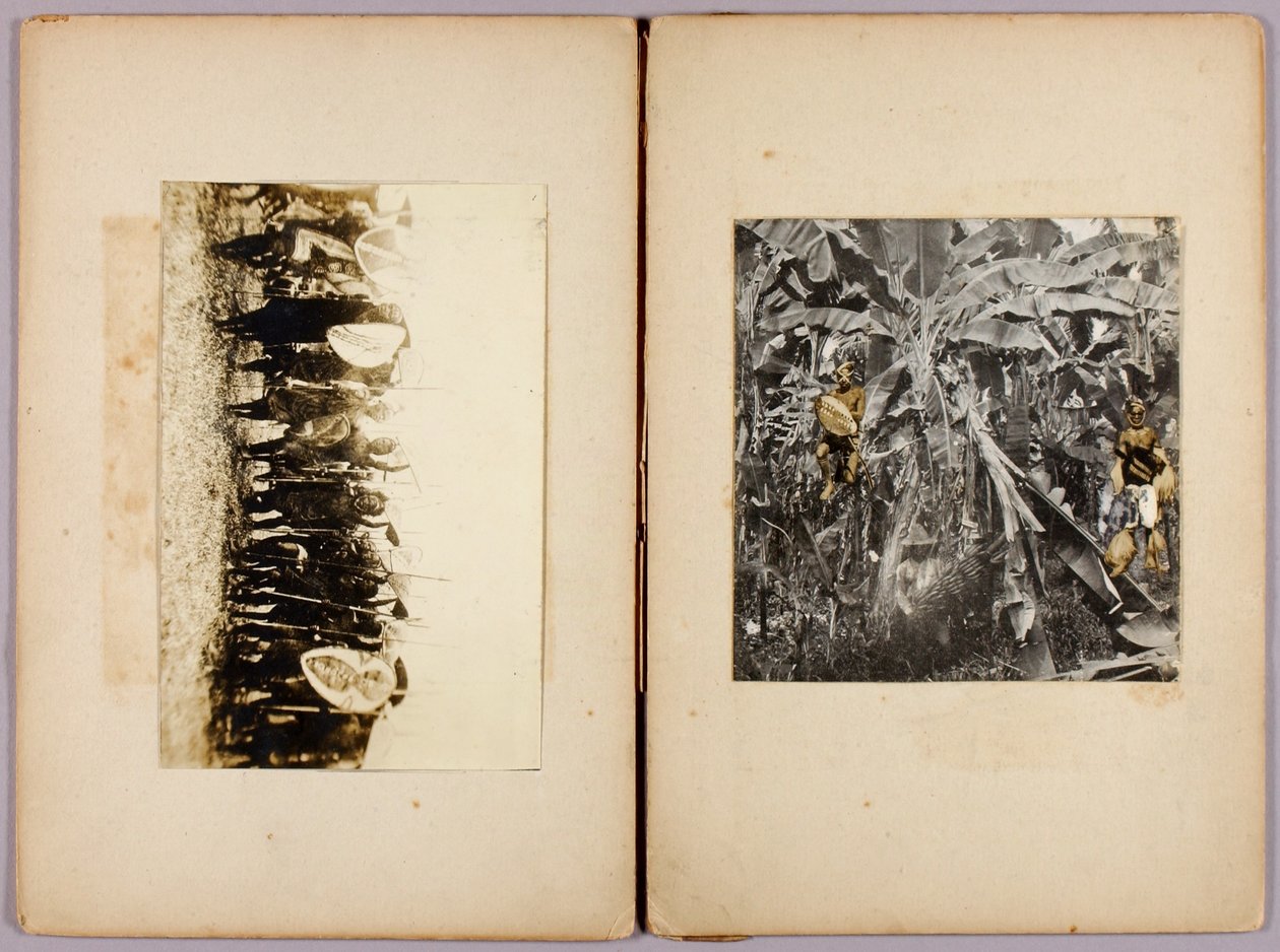 Maori and Other Savages, study folder for book Concealing Coloration in the Animal Kingdom by Abbott Handerson Thayer