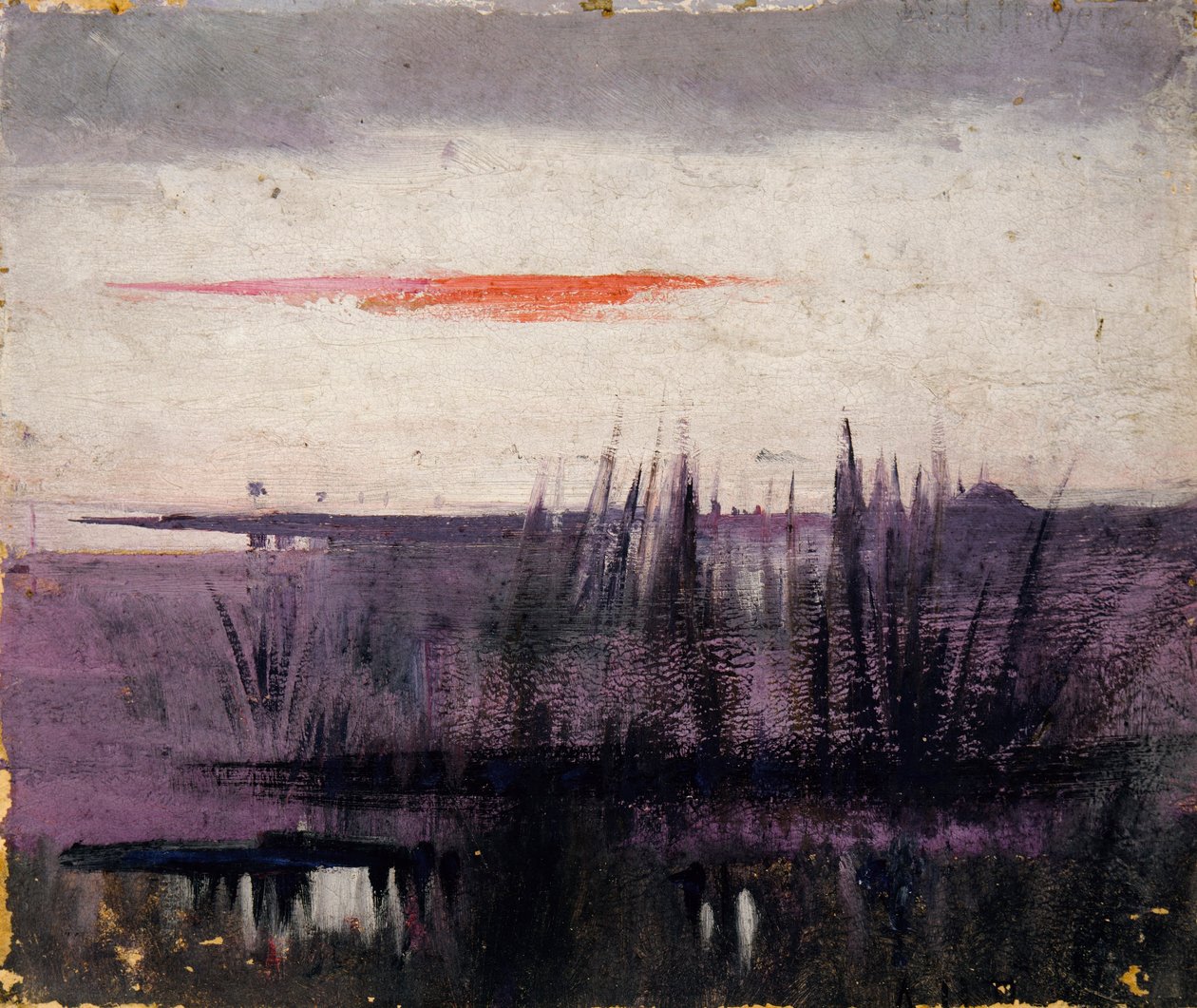 The Sky Simulated by White Flamingoes, study for book, Concealing Coloration in the Animal Kingdom by Abbott Handerson Thayer