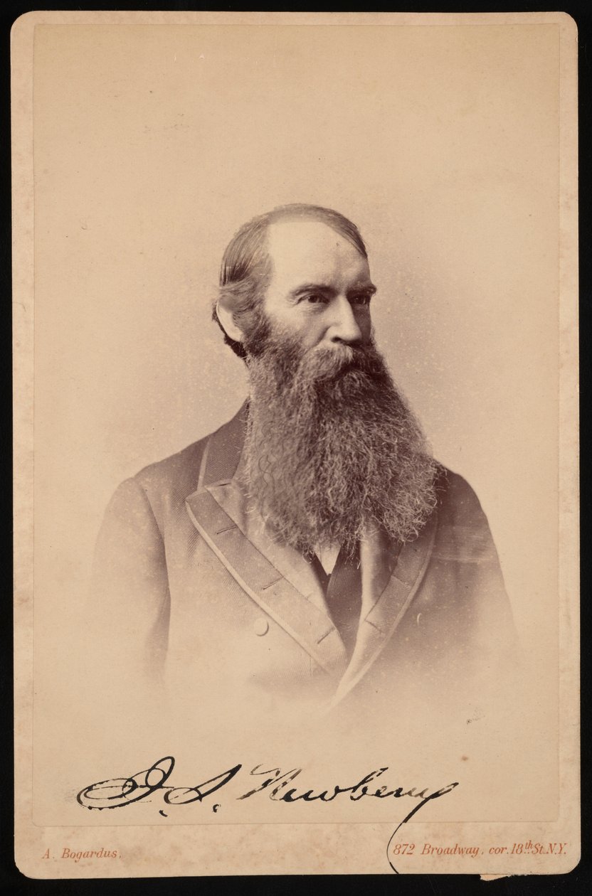 Portrait of John Strong Newberry, Between 1876 and 1887 by Abraham Bogardus