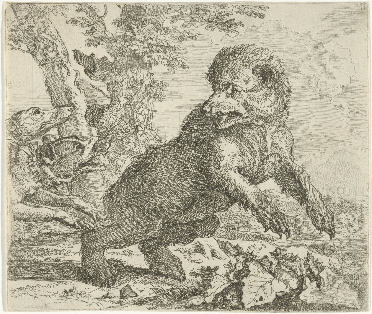 Bear Attacked by Dogs (Various Animals) by Abraham Danielsz. Hondius