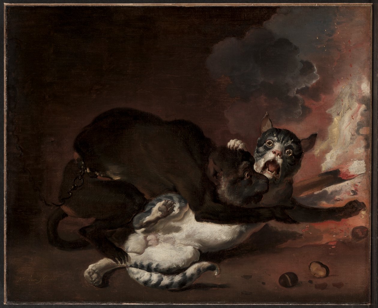 The Monkey and the Cat, Probably 1670s by Abraham Danielsz. Hondius