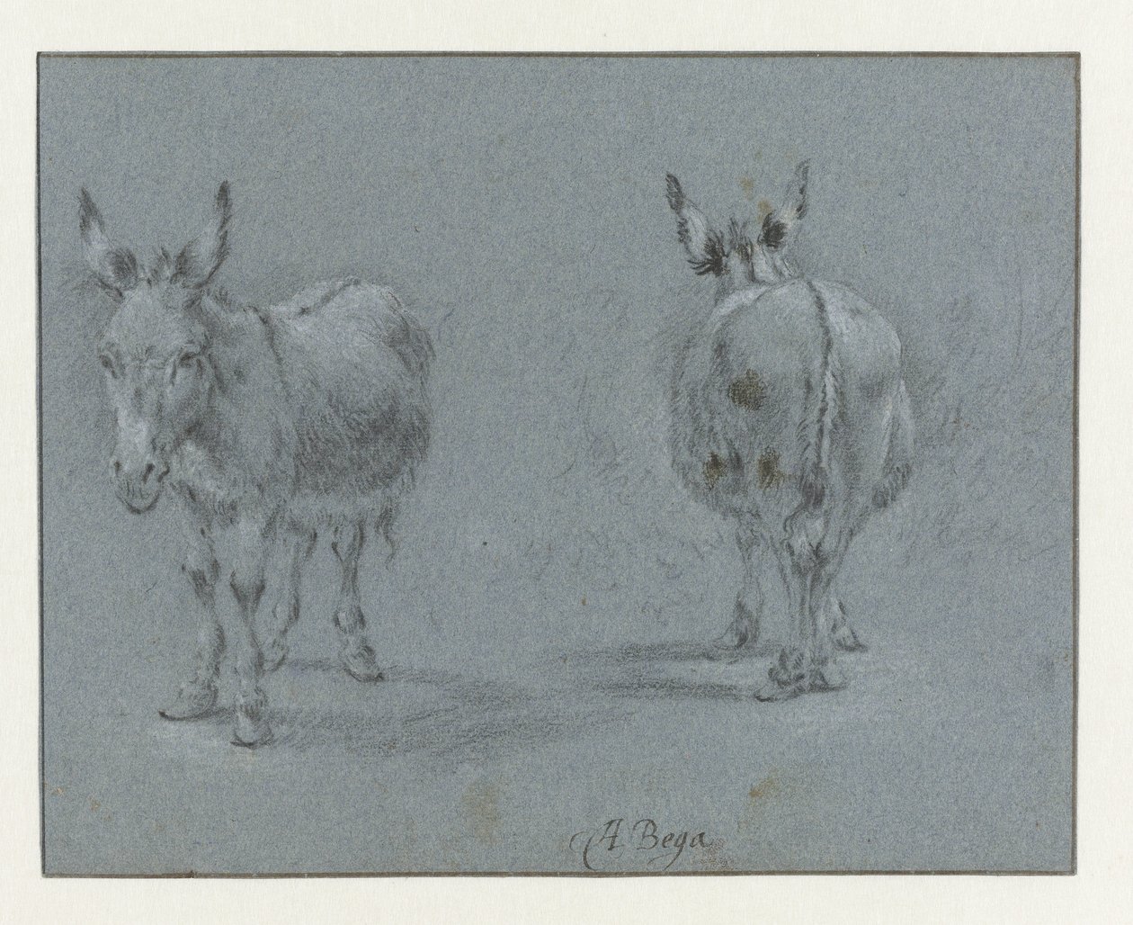 Two Studies of a Donkey, Seen from the Front and Behind by Abraham Jansz Begeyn