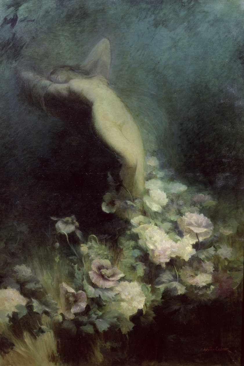 Les Fleurs du Sommeil by Achille Theodore Cesbron