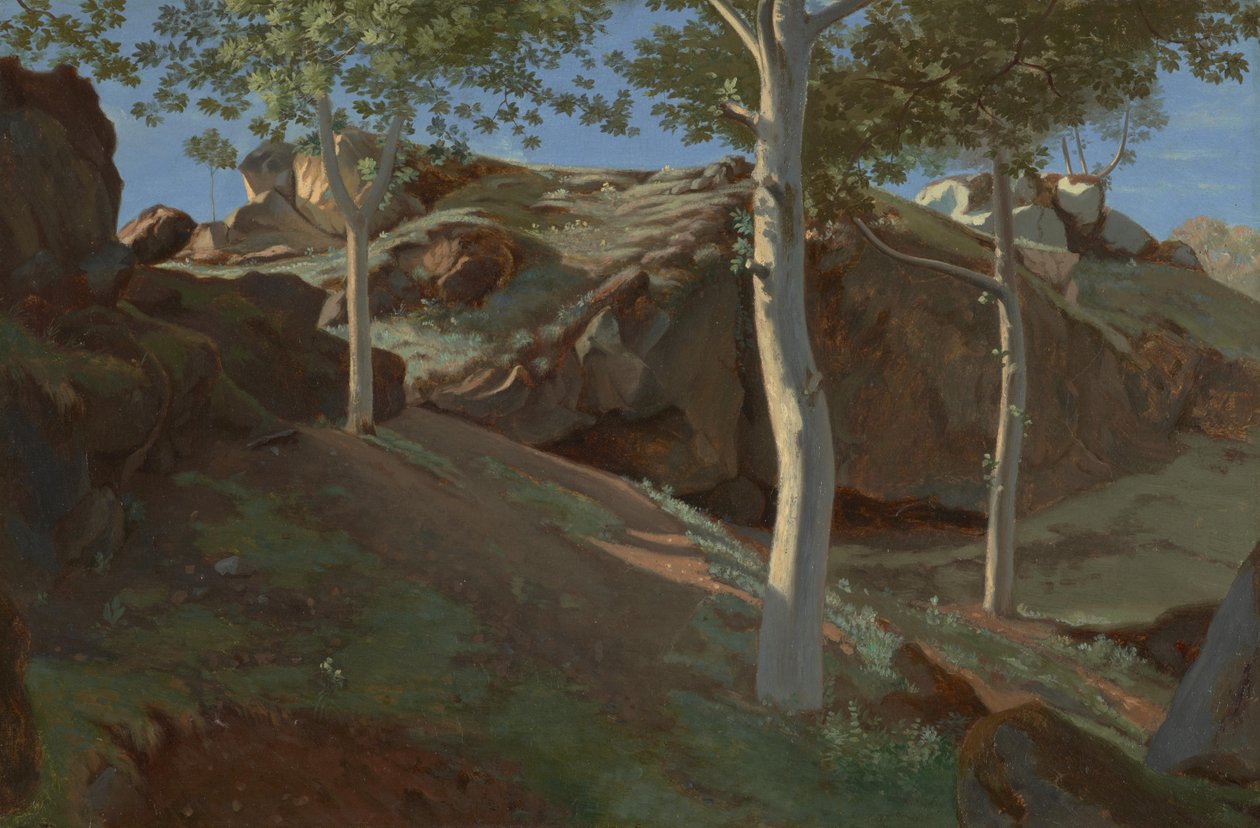 Birch Trees on a Rocky Incline: Fontainebleau by Achille Etna Michallon