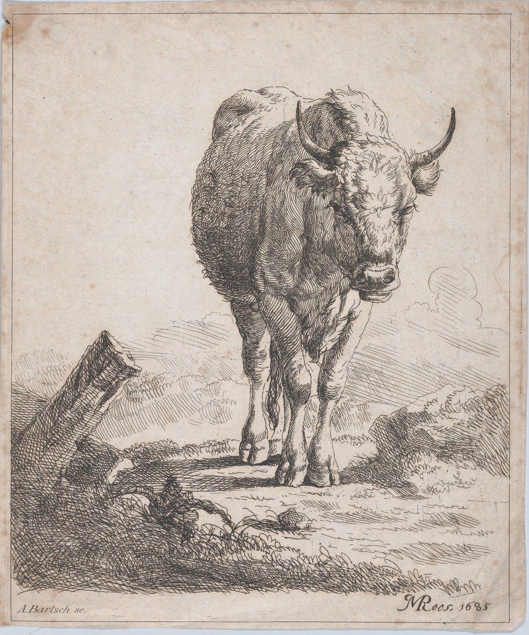 A Cow, Seen from the Front, 1805 by Adam von Bartsch