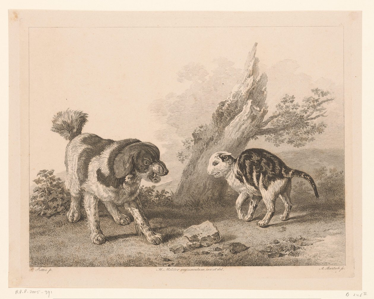 Dog and cat in fighting stance facing each other by Adam von Bartsch