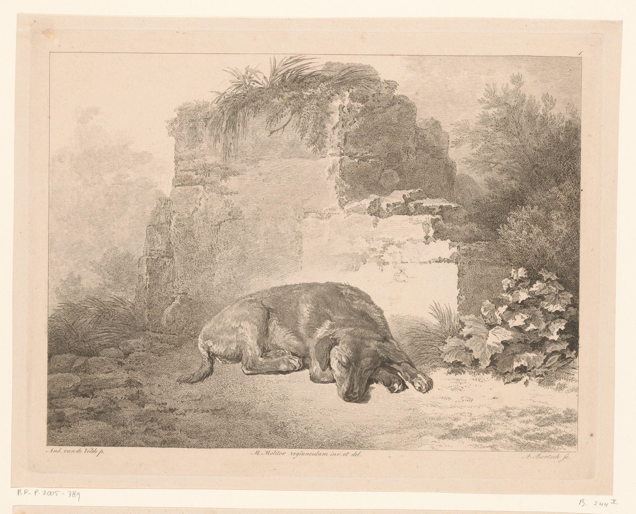 Sleeping Dog in Front of a Wall by Adam von Bartsch