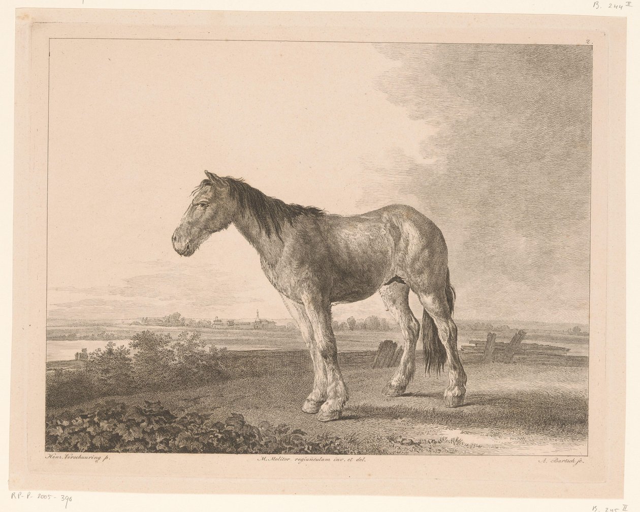 Standing Horse in a River Landscape (Animals after Paintings by Dutch Masters) by Adam von Bartsch