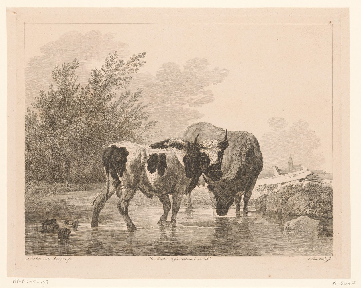 Two Cows in a Stream by Adam von Bartsch