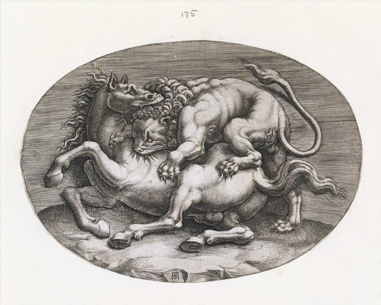 Speculum Romanae Magnificentiae: Lion Attacking a Horse, c. 1540-80 by Adamo Scultori