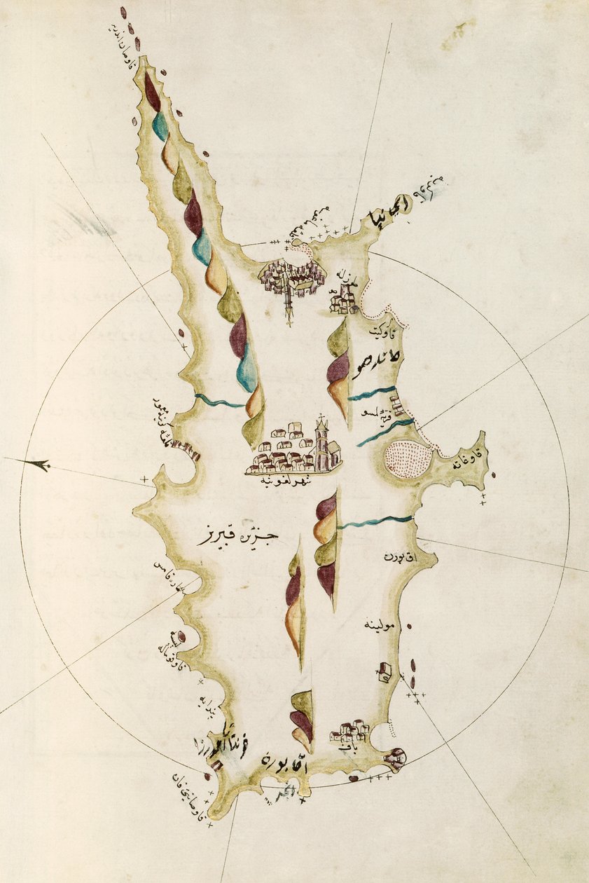 Map of Island of Cyprus by Admiral Piri Reis
