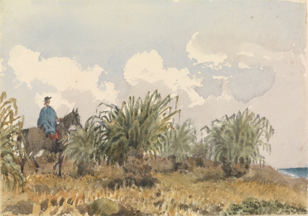 Tussac Grass, Falkland Islands by Admiral Sir Edward Gennys Fanshawe