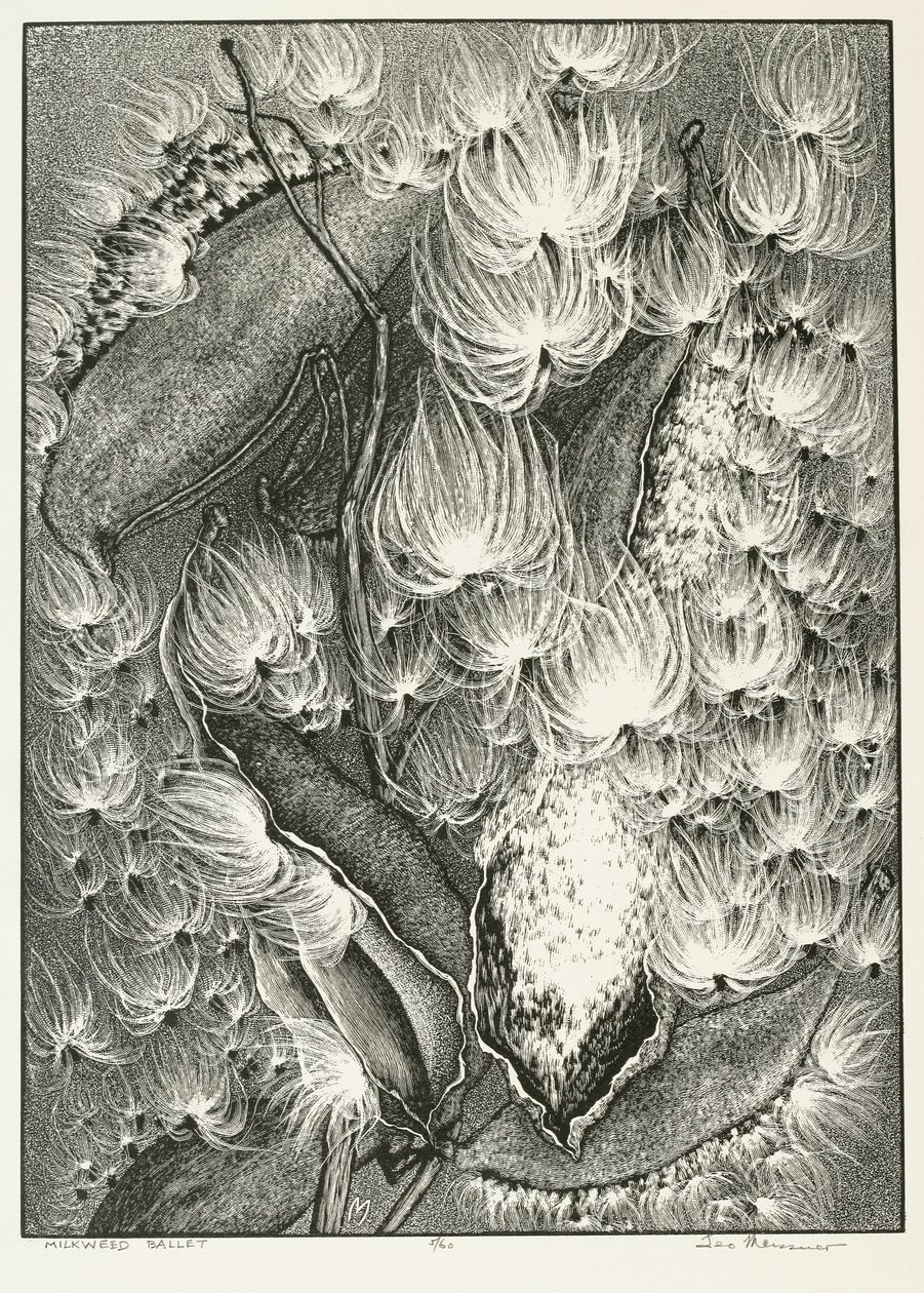 Milkweed Ballet by Adolf Ernst Meissner