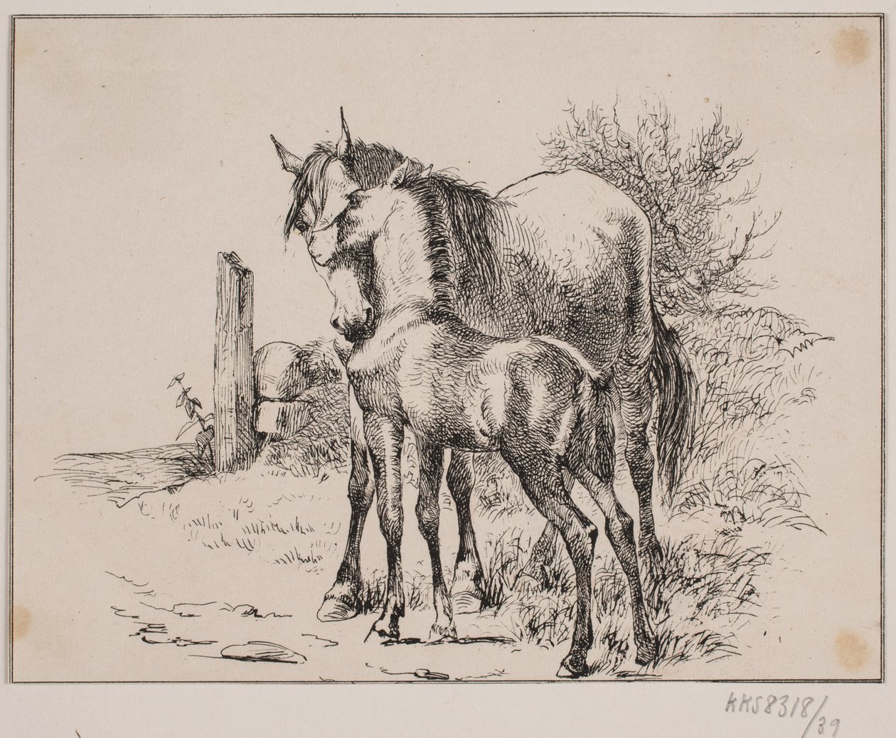 The Horse and the Foal by Johan Adolph Kittendorff