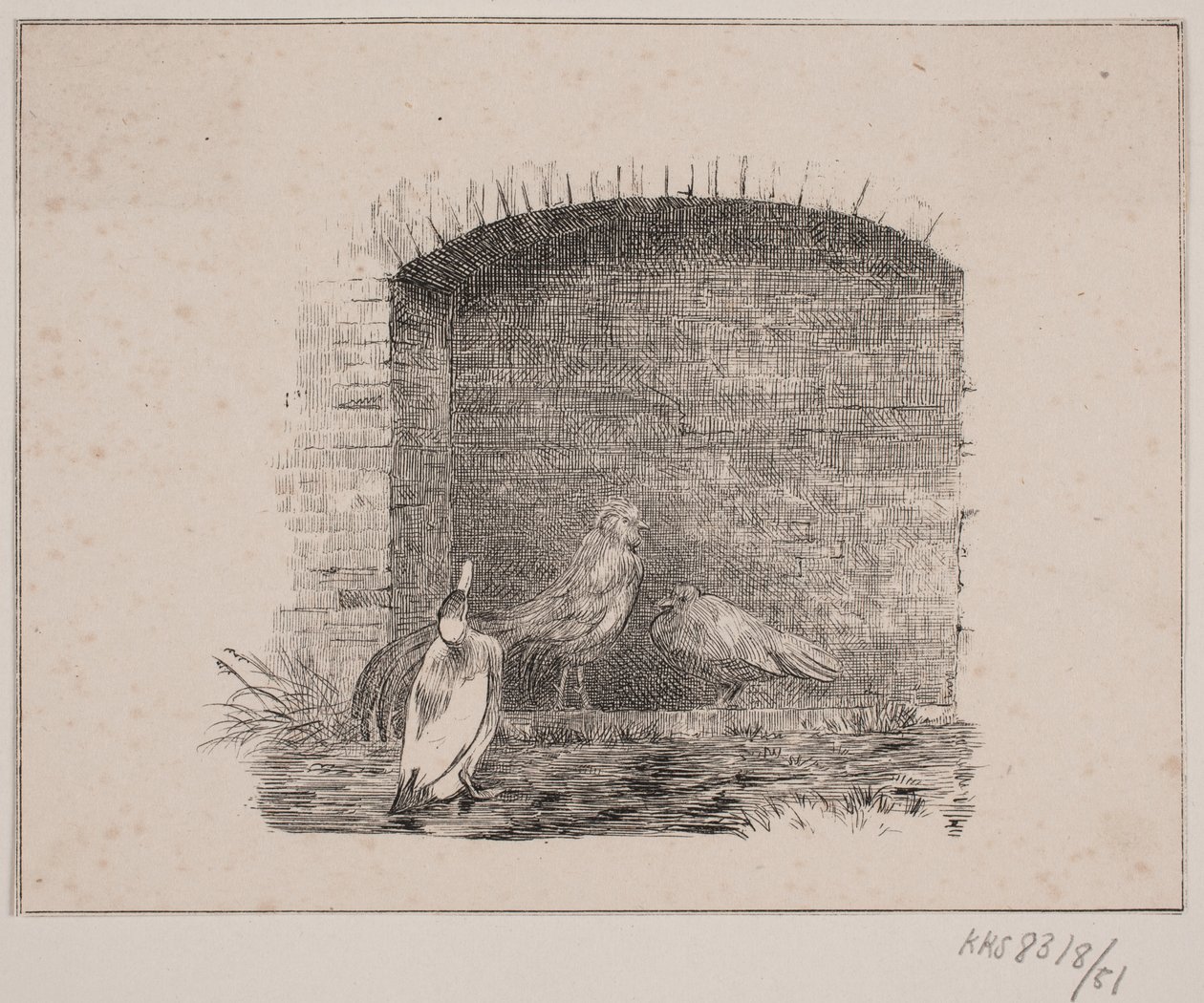 The Chickens and the Ducks by Johan Adolph Kittendorff